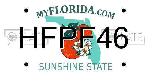 HFPF46 Florida License Plate