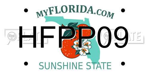 HFPP09 Florida License Plate