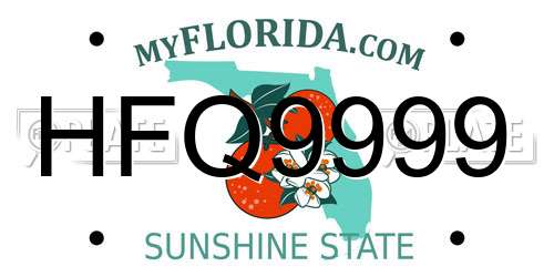 HFQ9999 Florida License Plate