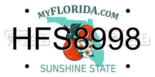HFS8998 Florida License Plate