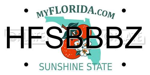 HFSBBBZ Florida License Plate