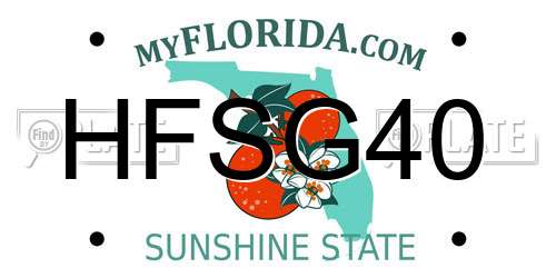 HFSG40 Florida License Plate