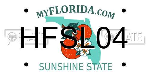 HFSL04 Florida License Plate