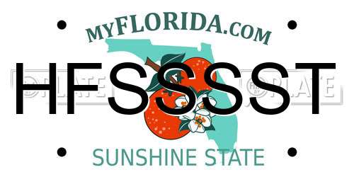 HFSSSST Florida License Plate
