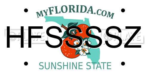 HFSSSSZ Florida License Plate