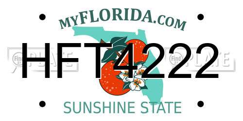 HFT4222 Florida License Plate