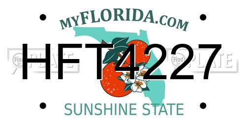HFT4227 Florida License Plate