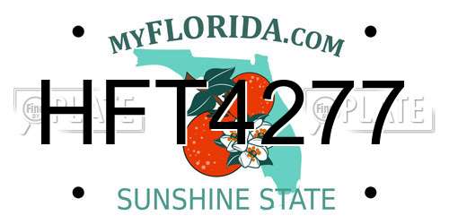 HFT4277 Florida License Plate