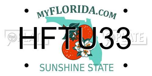 HFTU33 Florida License Plate