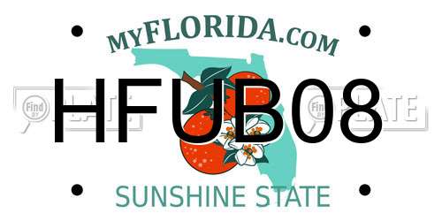 HFUB08 Florida License Plate