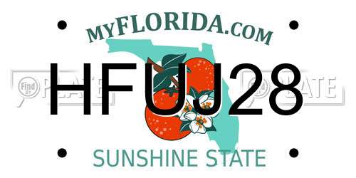 HFUJ28 Florida License Plate