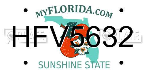 HFV5632 Florida License Plate