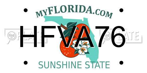 HFVA76 Florida License Plate