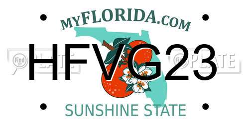 HFVG23 Florida License Plate