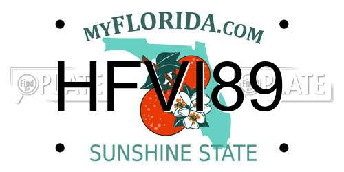 HFVI89 Florida License Plate