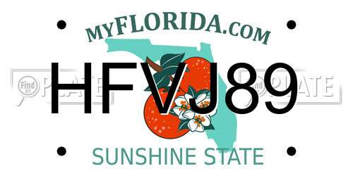 HFVJ89 Florida License Plate