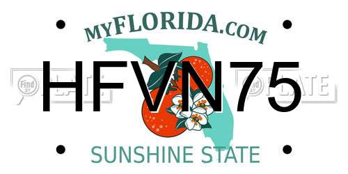HFVN75 Florida License Plate