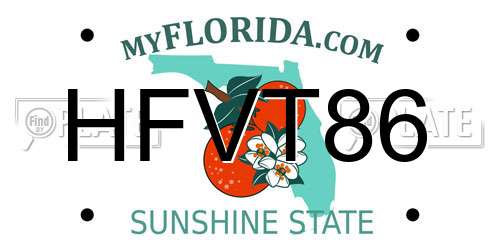 HFVT86 Florida License Plate