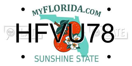HFVU78 Florida License Plate