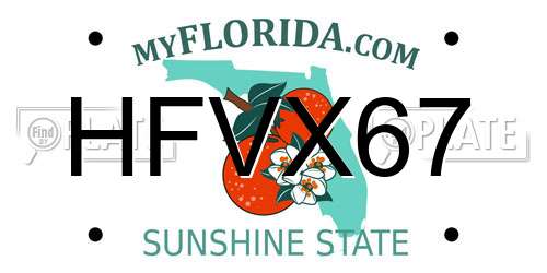 HFVX67 Florida License Plate