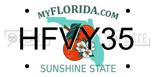HFVY35 Florida License Plate
