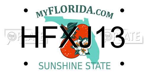 HFXJ13 Florida License Plate
