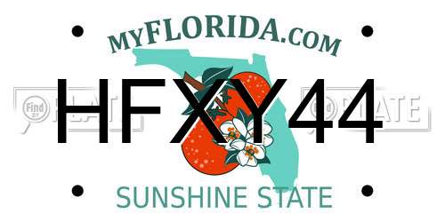 HFXY44 Florida License Plate