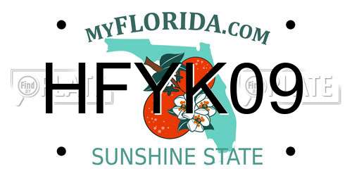 HFYK09 Florida License Plate