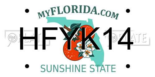 HFYK14 Florida License Plate