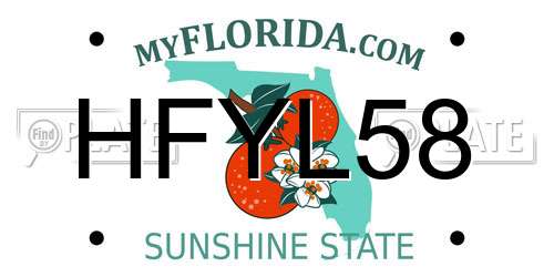 HFYL58 Florida License Plate