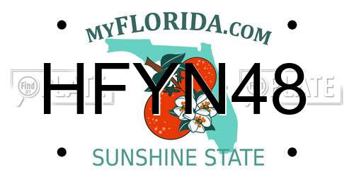 HFYN48 Florida License Plate