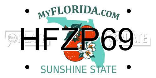 HFZP69 Florida License Plate