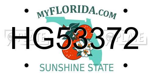 HG53372 Florida License Plate