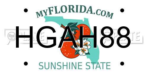HGAH88 Florida License Plate