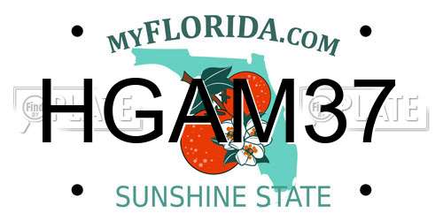 HGAM37 Florida License Plate