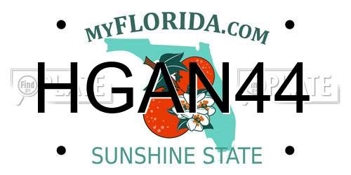 HGAN44 Florida License Plate