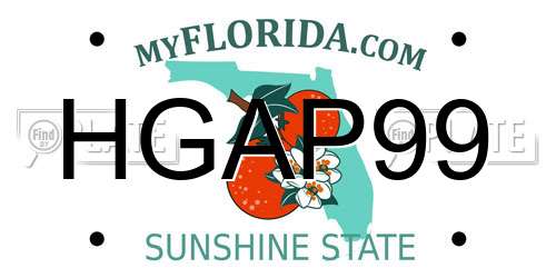 HGAP99 Florida License Plate