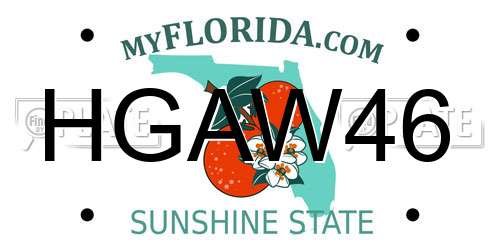 HGAW46 Florida License Plate