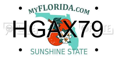 HGAX79 Florida License Plate