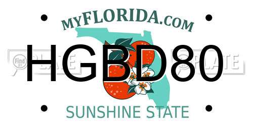 HGBD80 Florida License Plate
