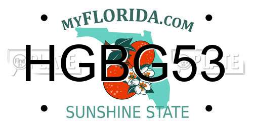 HGBG53 Florida License Plate