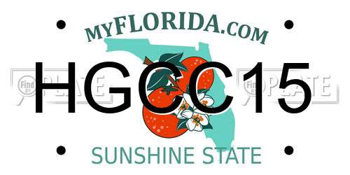 HGCC15 Florida License Plate