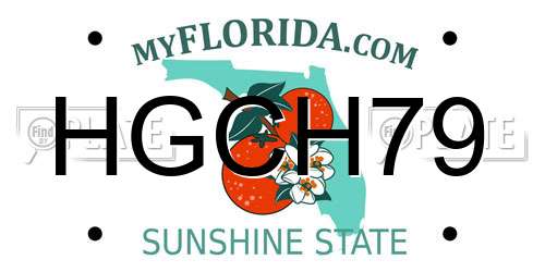 HGCH79 Florida License Plate