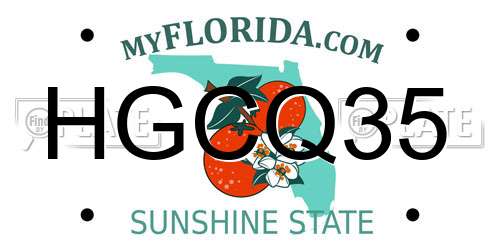 HGCQ35 Florida License Plate