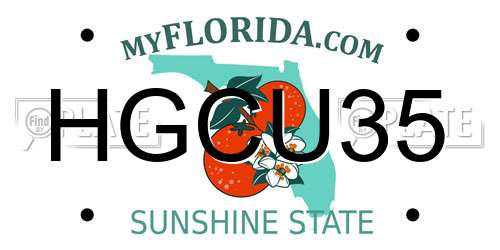 HGCU35 Florida License Plate
