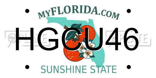 HGCU46 Florida License Plate