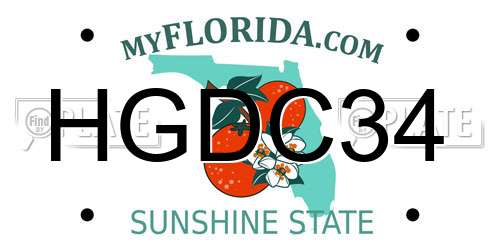 HGDC34 Florida License Plate
