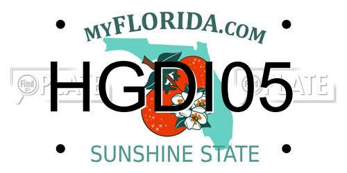 HGDI05 Florida License Plate