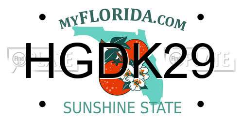 HGDK29 Florida License Plate