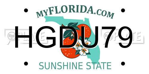 HGDU79 Florida License Plate
